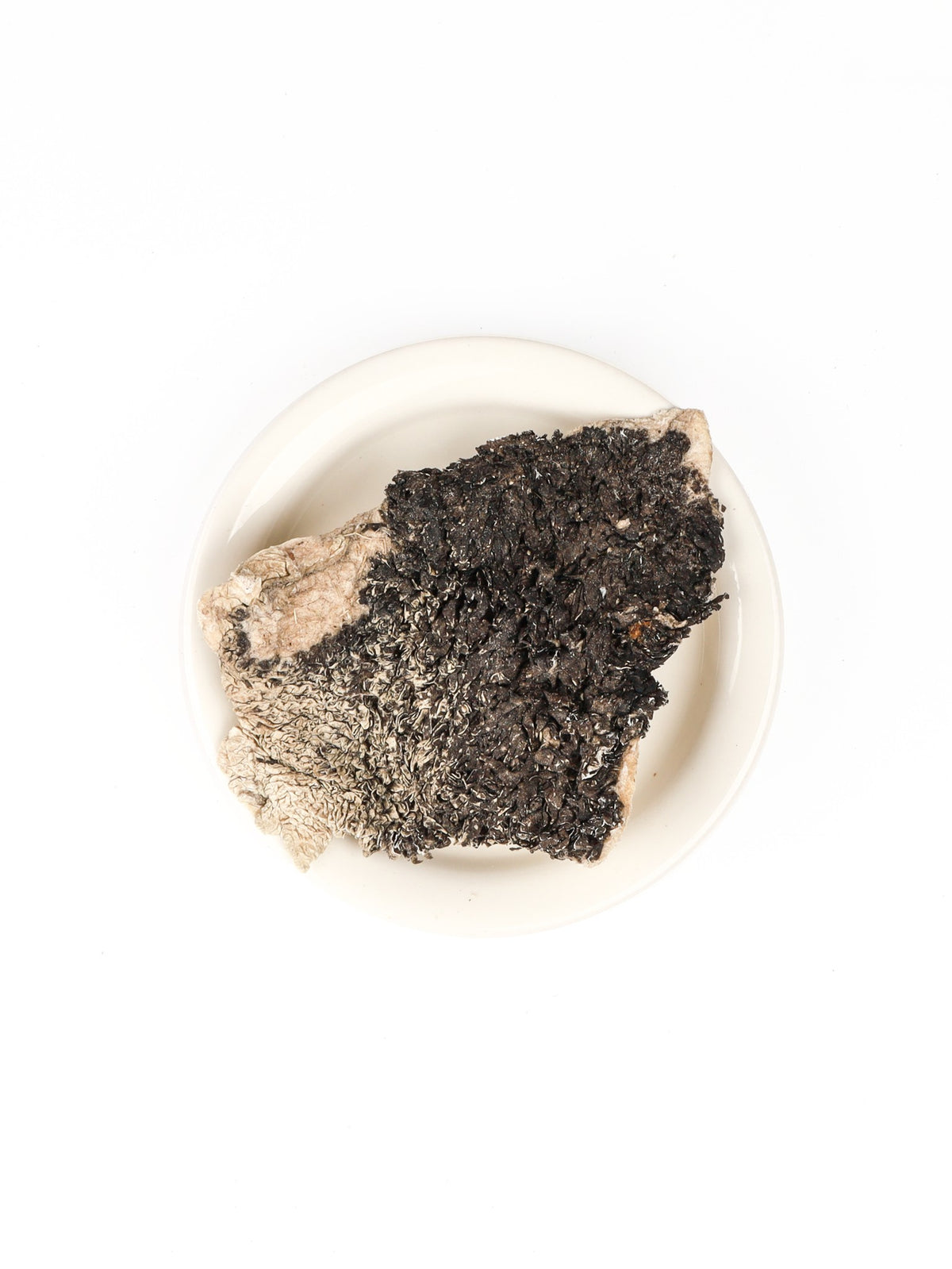Gefriergetrockneter grüner Rinderpansen – Superfood für die Darmgesundheit