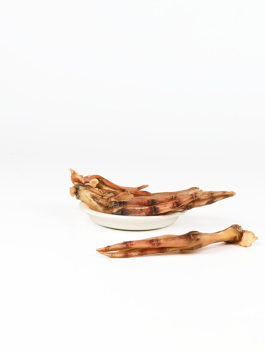 chewtrue-dried-duck-feet-collagen