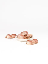 chewtrue-freeze-dried-duck-gizzard-chews