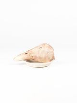 chewtrue-freeze-dried-duck-head-whole-prey-treat