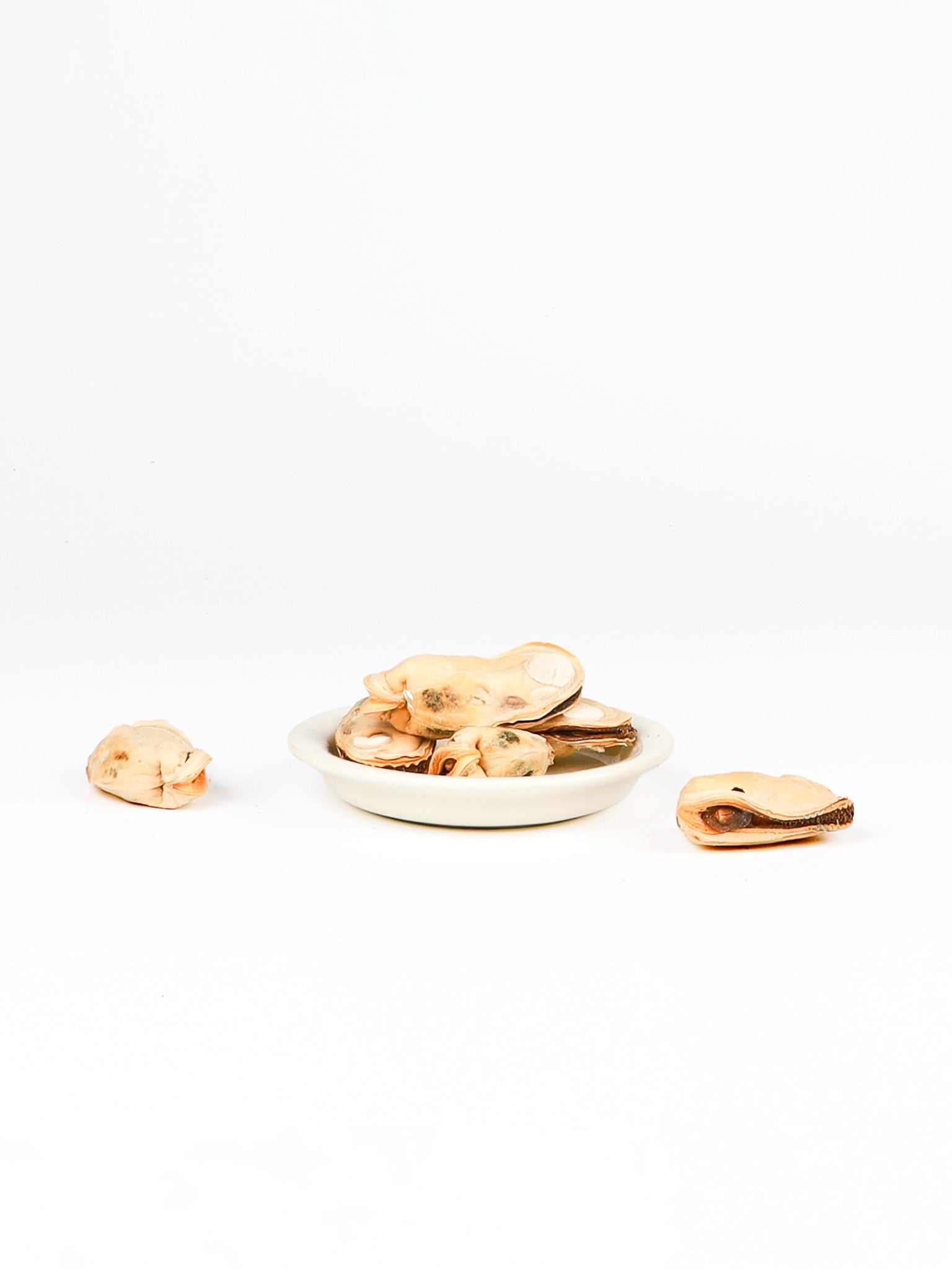 ChewTrue freeze-dried green mussels dog and cat treat