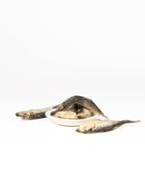 chewtrue-freeze-dried-herring-fish-treats