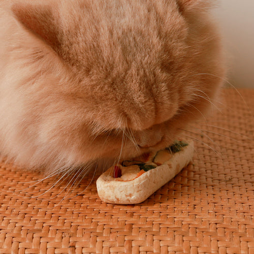Fluffy orange cat eating a ChewTrue freeze-dried fruit and meat bar on a woven mat.