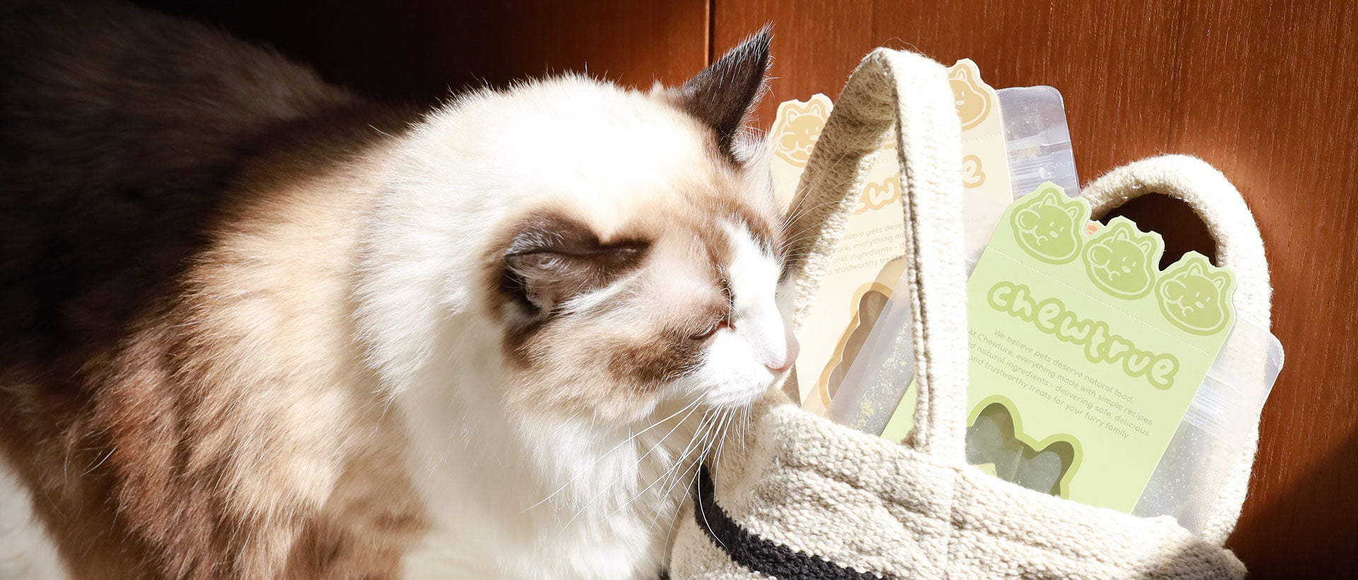 Ragdoll cat sniffing packages of ChewTrue freeze-dried snacks in a basket.