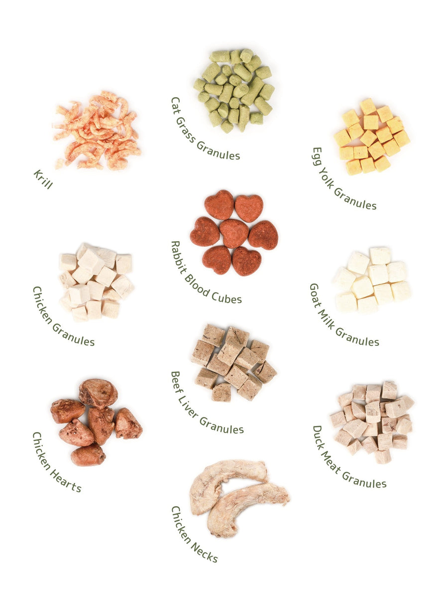 chewtrue-ultimate-creative-snack-variety-bundle