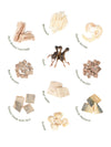 Freeze-Dried Topper & Training Set - 10 Nutrient Bites