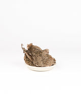 chewtrue-freeze-dried-venison-green-tripe