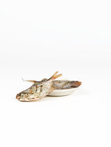 chewtrue-whole-pomfret-fish-dog-treats