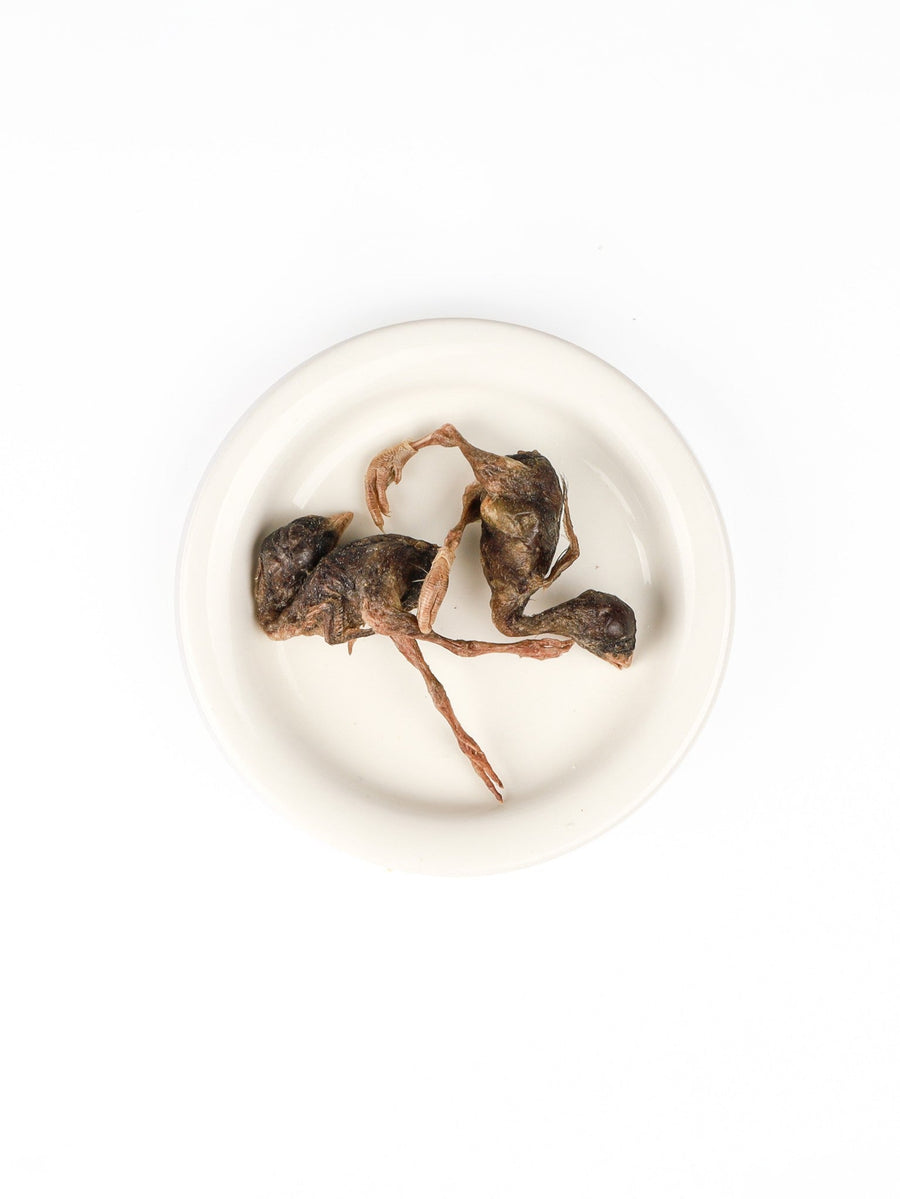 chewtrue-freeze-dried-whole-quail-prey