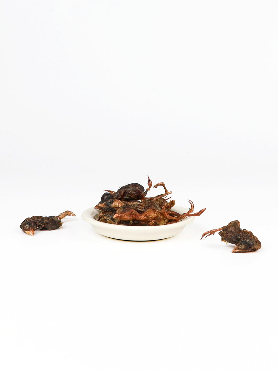 chewtrue-freeze-dried-whole-quail-prey