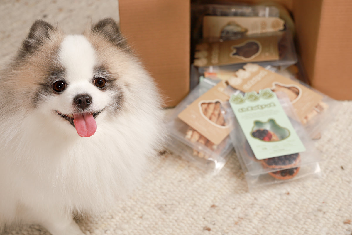 FIND TREATS FOR YOUR PET