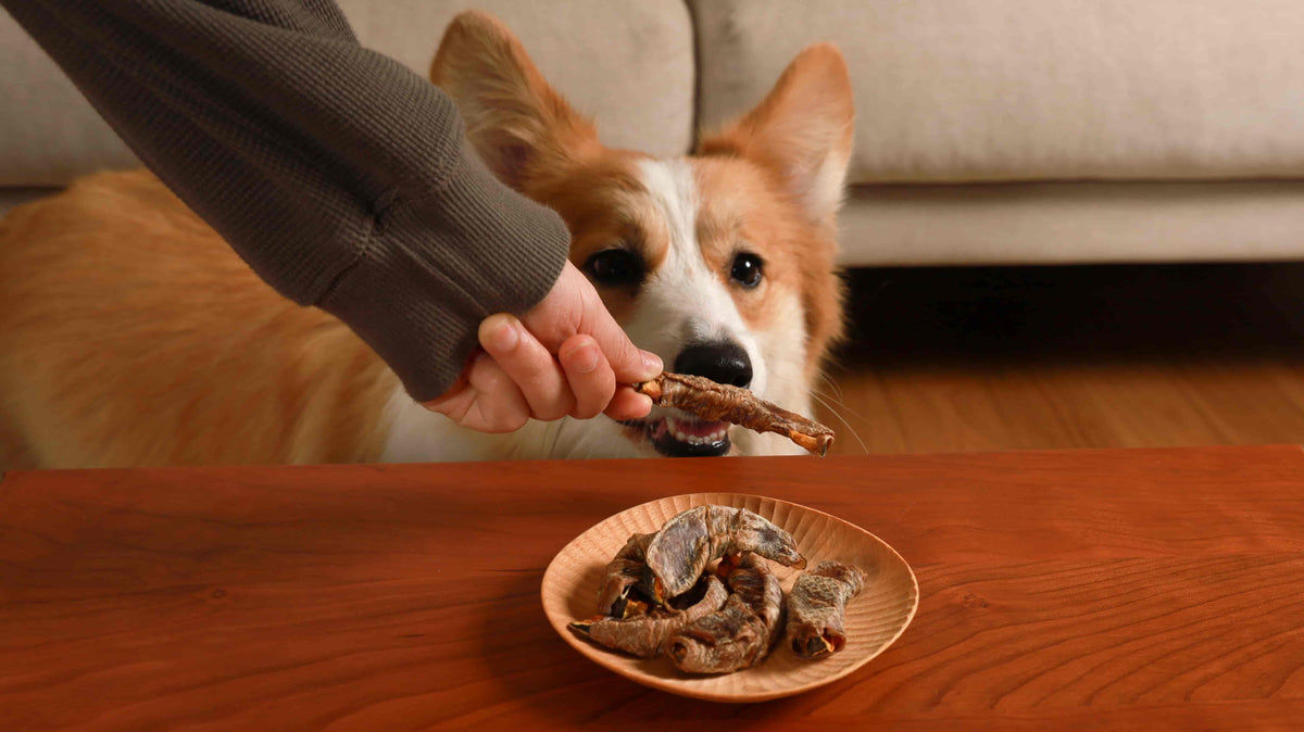 FIND TREATS FOR YOUR PET