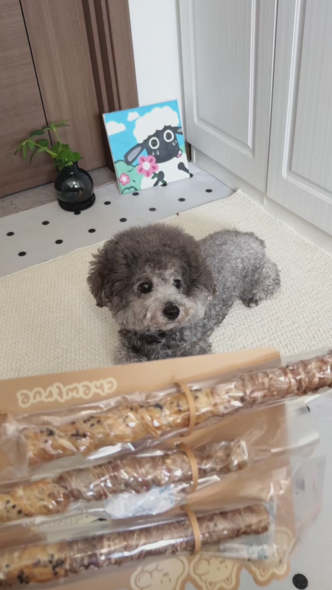 28cm Long Beefhide Sticks - Extra Durable