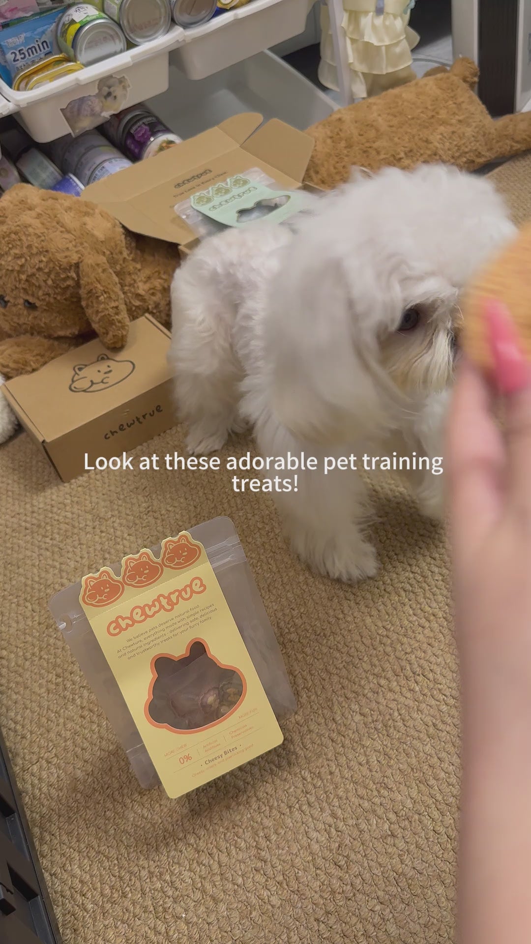 Freeze-Dried Mini Heart & Bows - Training Bits