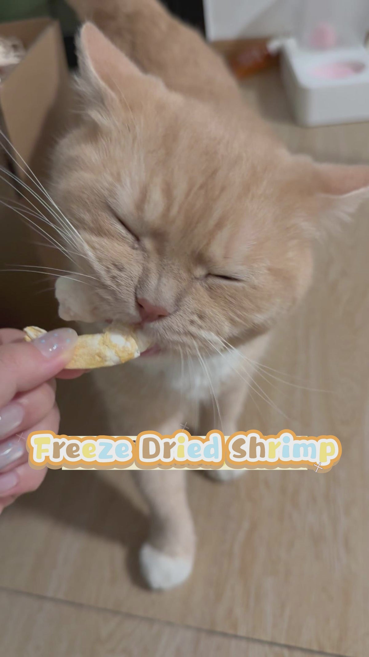 Freeze-Dried Shrimp Meat - Tasty Marine Protein